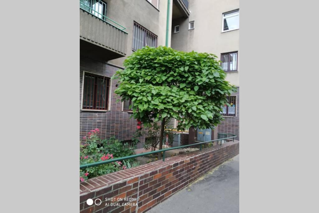 A Cosy Studio In The City Centre Bratislava Exterior foto